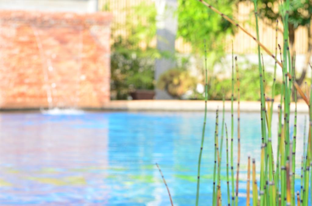 Veraneante Resort Панглао Экстерьер фото